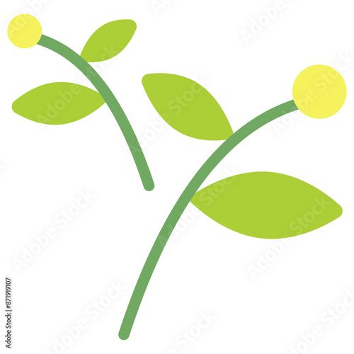 herbal flat icon
