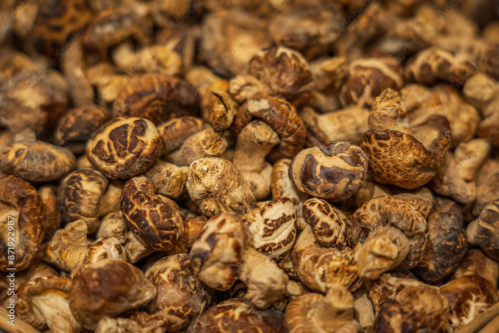 Assortment of Dried Shiitake Mushrooms Top View Assortment of Dried Shiitake Mushrooms Top View