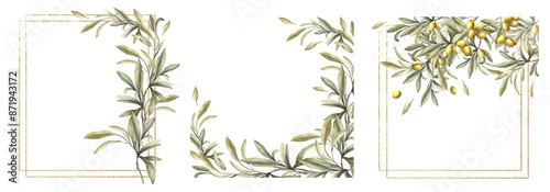 Olive tree branch card set. Watercolor twig with green leaves and fruit berries with gold frame. Botanical hand drawn illustration for food, oil, cosmetic label, wedding invitation Isolated background