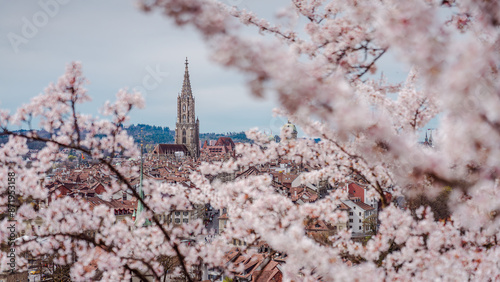 Tableau sur toile Bern im Frühling, Berner Münster mit Kirschblüten
