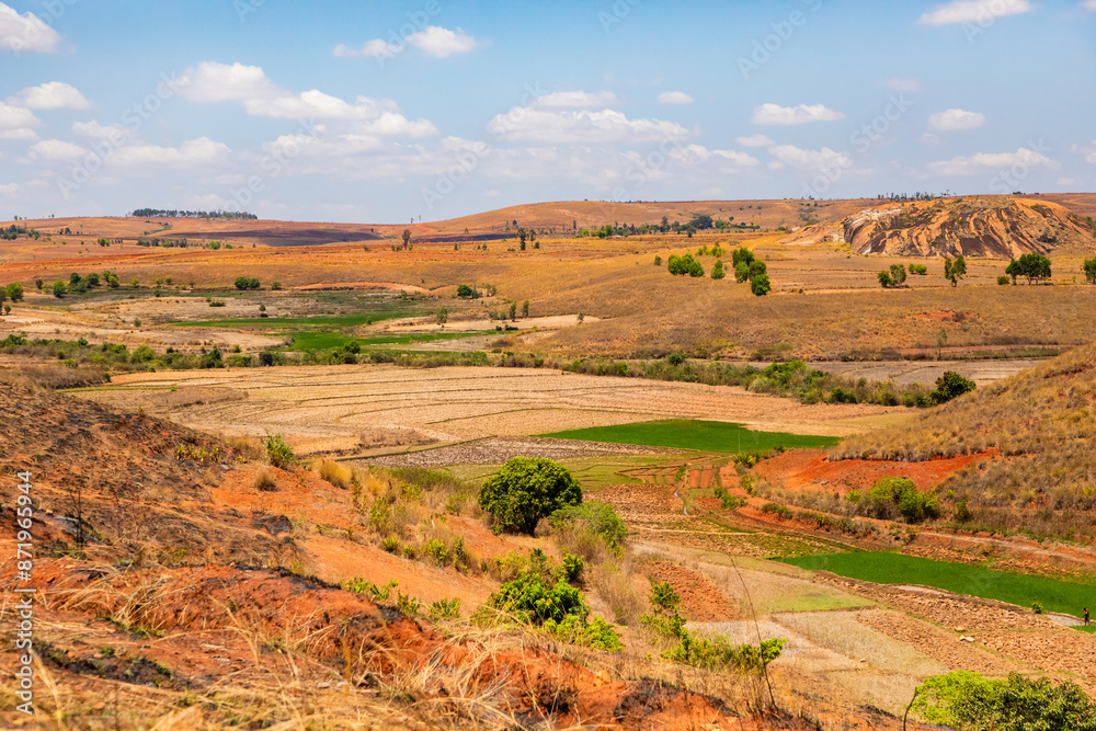Obraz premium Typical Madagascar landscape rice terrace fields