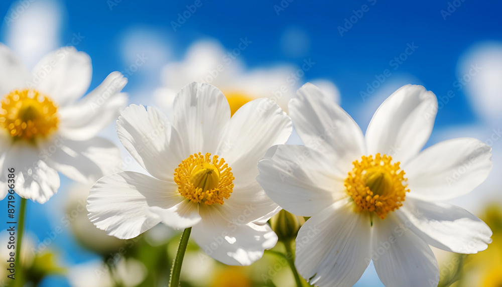 White flowers with yellow stamens and blurred blue sky background. Generative AI White flowers with yellow stamens and blurred blue sky background. Generative AI