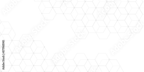 Hexagon geometric on a white background. Geometric abstract background with simple Hexagon elements. clean and modern science chemical theme background. hexagon geometric pattern vector illustration. 