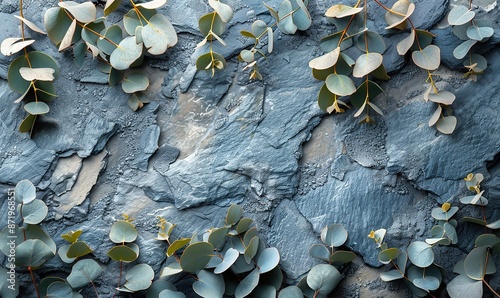 eucalyptus branches on a rough stone surface top view wediing invitation card mockup.stock photo