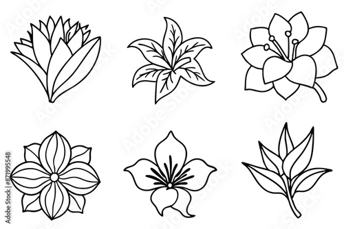 Floral Line Art Elegant flower sketches highlight artistry