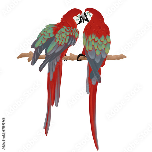 Arara vermelha, arara, ave, pássaro, amor, namorados, amizade, Amazônia, tropical, ilustração, fauna, floresta, brasil, estampa, embalagem, rótulo, natureza, pena, asas, carnaval, rio de janeiro photo