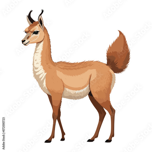 Cute Llama Standing Illustration