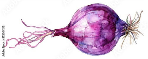 A red onion clipart, vegetable element, watercolor painting, deep purple, isolated on white background,