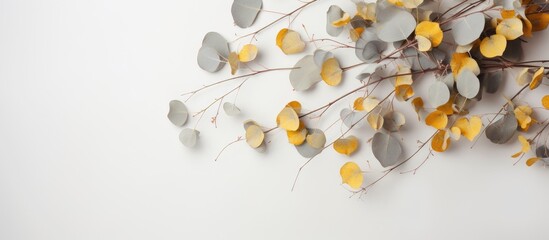 Autumn-themed arrangement with eucalyptus branches, cotton flowers, and dried leaves on a soft gray backdrop. Represents the autumn season with a flat lay and top-view perspective, featuring a copy