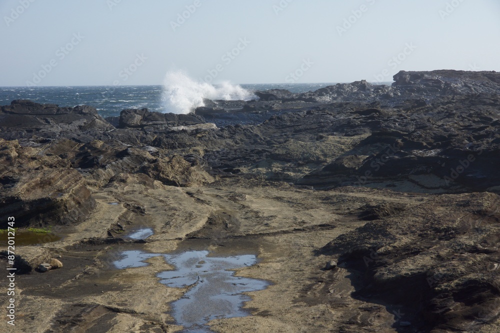 Fototapeta premium 城ヶ島 城ヶ島公園の春の風景