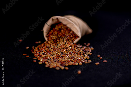 Horse gram