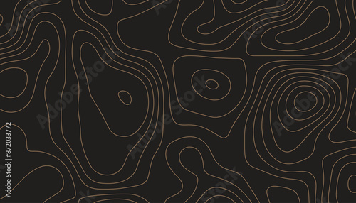 Background of the topographic map. Topographic map lines, contour background. Black and gold abstract background.