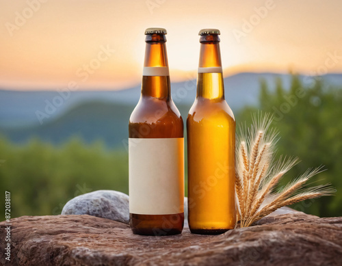 bottle, beer bottle, liquor, artisanal. background for text for text