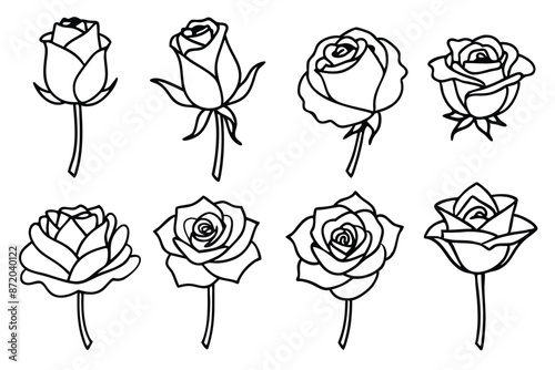 Rose Flower Line Art Elegant floral interpretations highlight roses