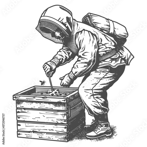 little girl beekeeper in action with engraving style