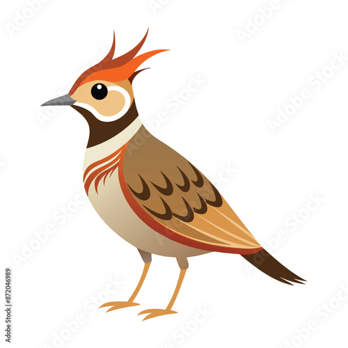 Illustration crested Lark bird isolated on white