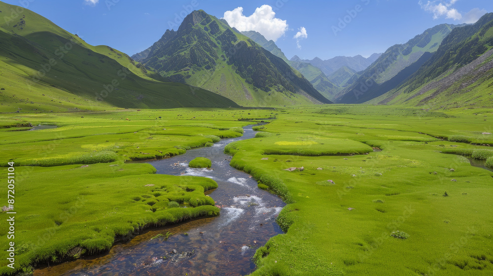 A clear mountain stream meandering through a lush green valley surrounded by towering peaks under a bright blue sky.
A clear mountain stream meandering through a lush green valley surrounded by towering peaks under a bright blue sky.