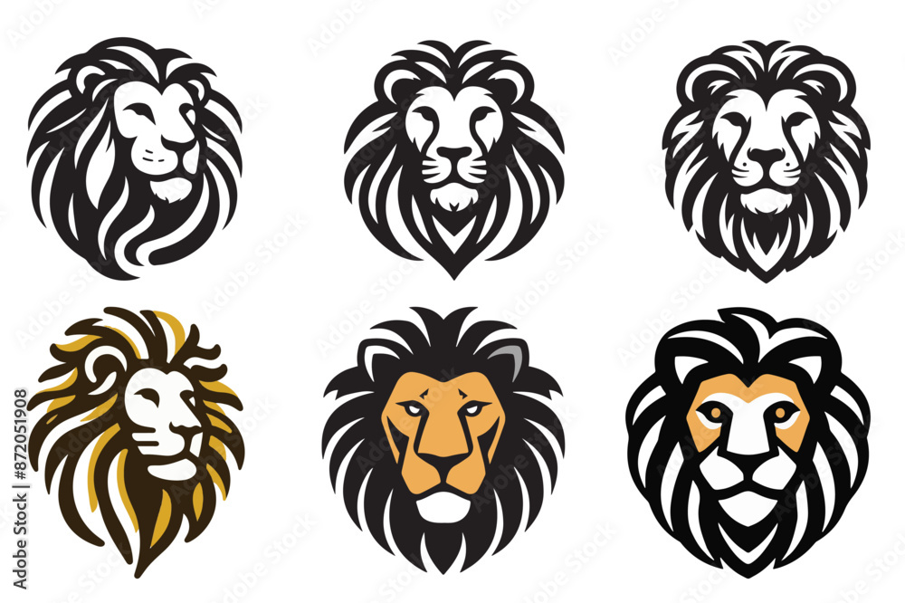 Obraz premium set of lions