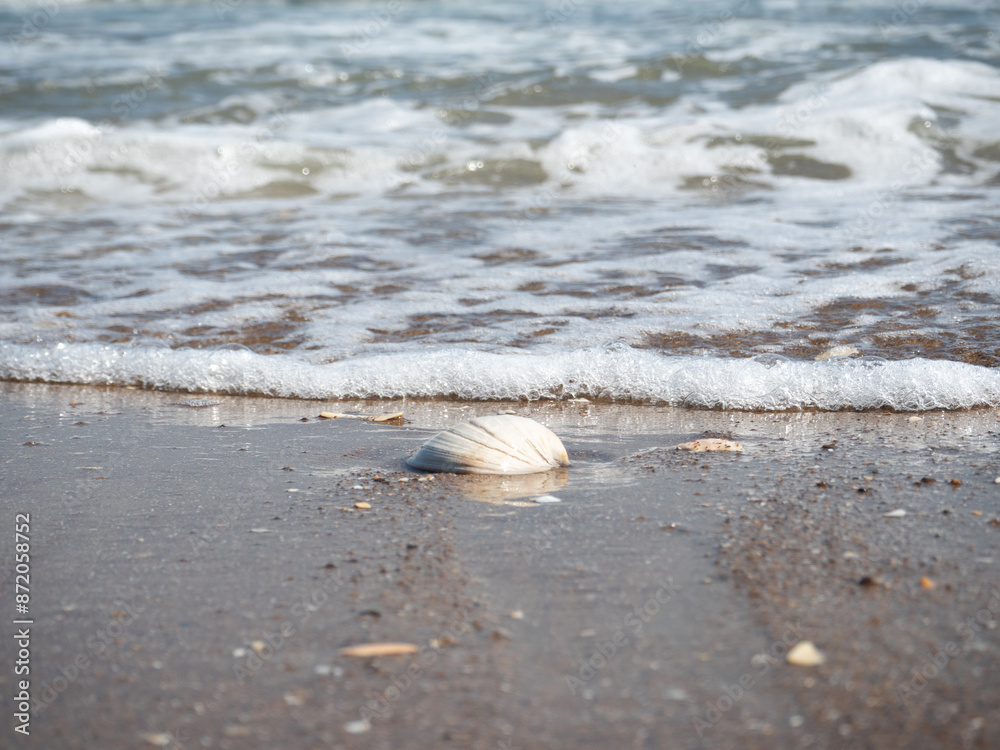Waiting for the Waves
