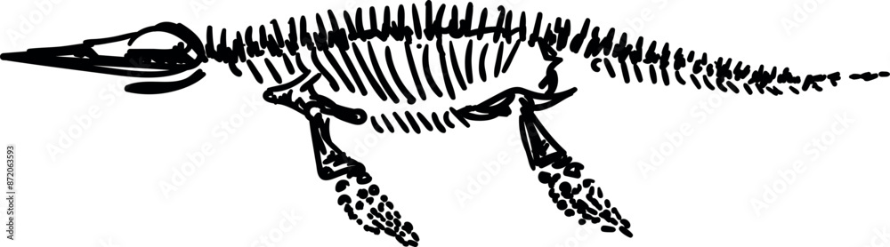Obraz premium Plesiosaur skeletons. Dino bones. Remains of ancient animals vector illustration set