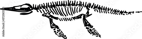 Plesiosaur skeletons. Dino bones. Remains of ancient animals vector illustration set