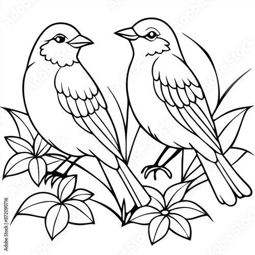 Two birds sitting with flowers, coloring page, vector black color, solid white background