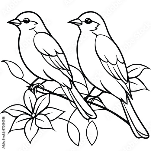 Two birds sitting with flowers, coloring page, vector black color, solid white background