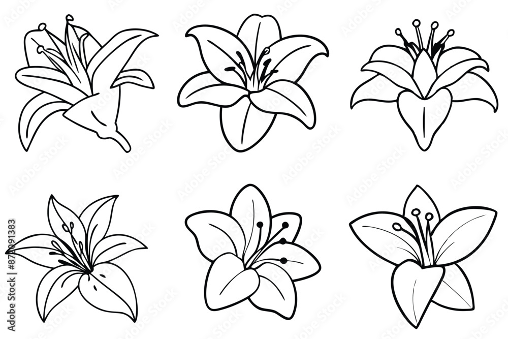 Obraz premium Lily flower line art Artistic lily sketches capture essence
