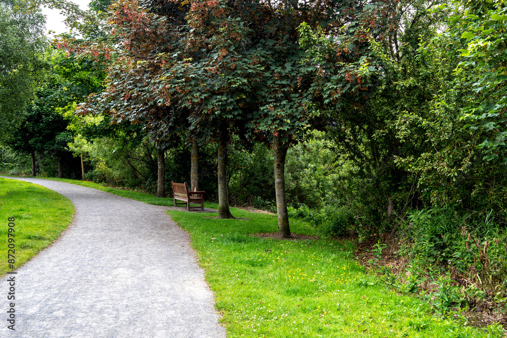 Riverside Country Footpath with Trees and Wooden Bench Seating on a Summer Morning Riverside Country Footpath with Trees and Wooden Bench Seating on a Summer Morning