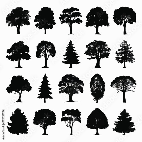 A collection of 20 distinct trees, each with its unique silhouette. These trees range from deciduous varieties with broad canopies to coniferous ones with needle-like leaves. They are positioned in a 