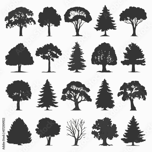 A collection of 20 distinct trees, each with its unique silhouette. These trees range from deciduous varieties with broad canopies to coniferous ones with needle-like leaves. 