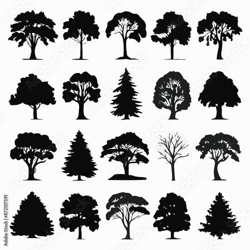 A collection of 20 distinct trees, each with its unique silhouette. These trees range from deciduous varieties with broad canopies to coniferous ones with needle-like leaves. 