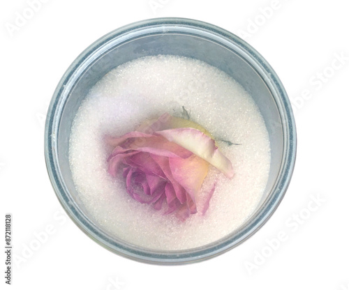 Fresh flowers are dried with silica sand and silica gel. It is a method of drying flowers that retain their natural beauty and then placing them in glass jars to keep them fresh for a long time.
