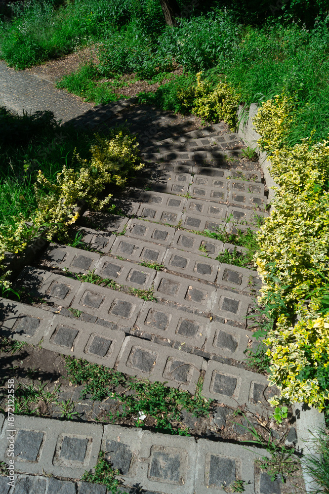Stone stairs in the park among the grass, top view Stone stairs in the park among the grass, top view