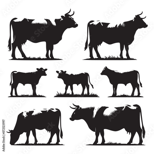 Set of cow silhouettes isolated on a white background, Vector illustration.