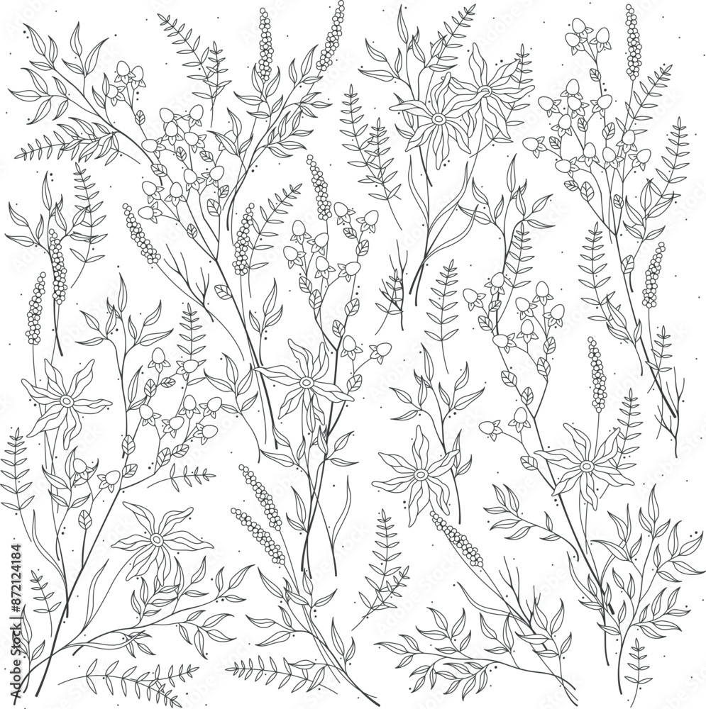 Autumn fall flower and berries in beautiful hand-drawn line illustration decorative botanical floral foliage wallpaper, delicate flower leaf composition in natural rustic drawing boho thin ink Autumn fall flower and berries in beautiful hand-drawn line illustration decorative botanical floral foliage wallpaper, delicate flower leaf composition in natural rustic drawing boho thin ink