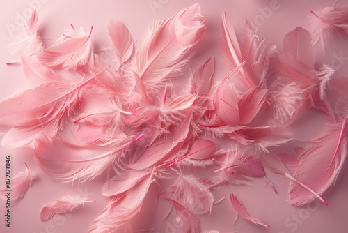 Pink Feather Background © Sandu