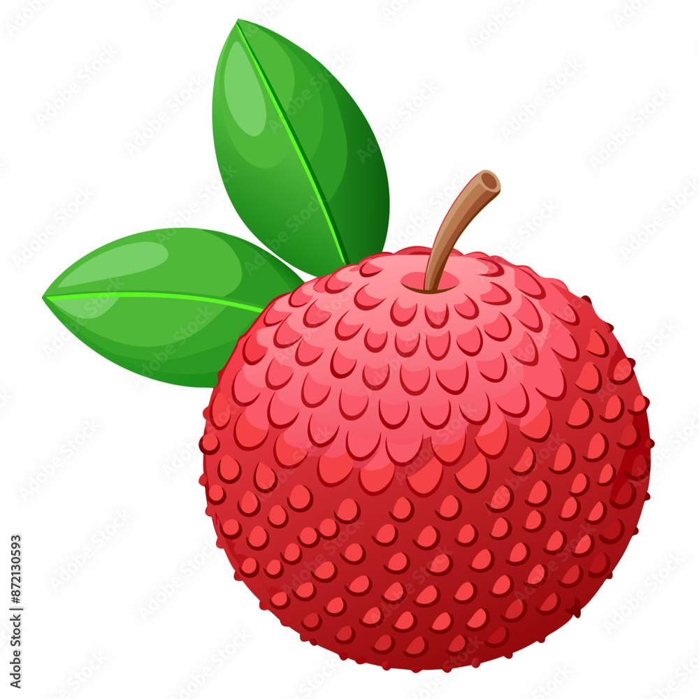 A fresh Lychee on White Background A fresh Lychee on White Background