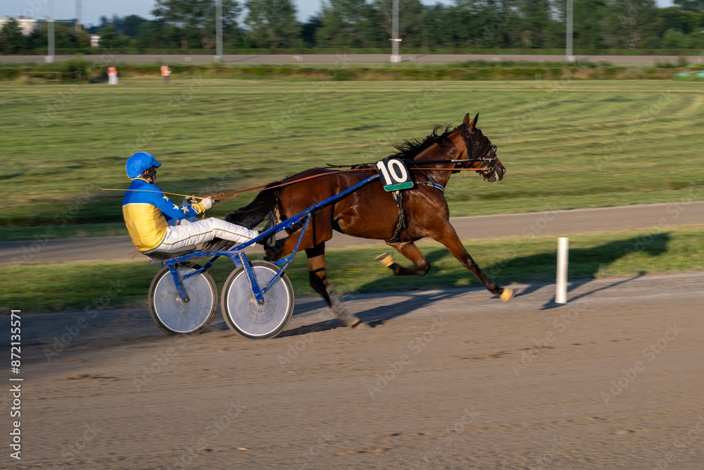 Trotting racehorses and rider on a stadium track. Competitions for trotting horse racing. Horses compete in harness racing. Horse running on the track with the rider at sunset.
Trotting racehorses and rider on a stadium track. Competitions for trotting horse racing. Horses compete in harness racing. Horse running on the track with the rider at sunset.