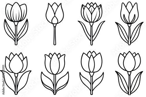 Tulip flower line art Artistic tulip sketches with finesse