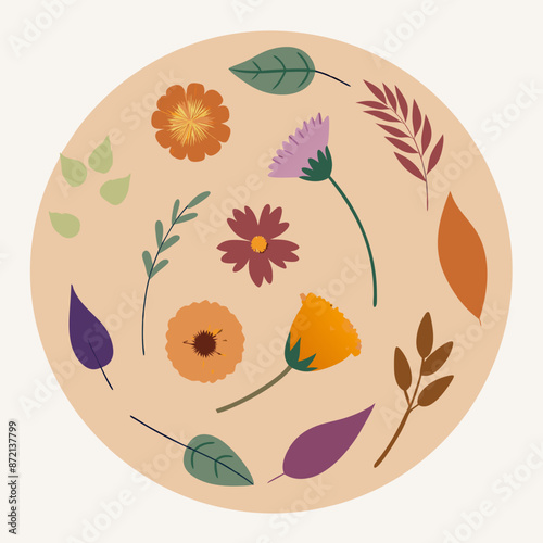 dried-flowers-of-different-types-in-a-circle 