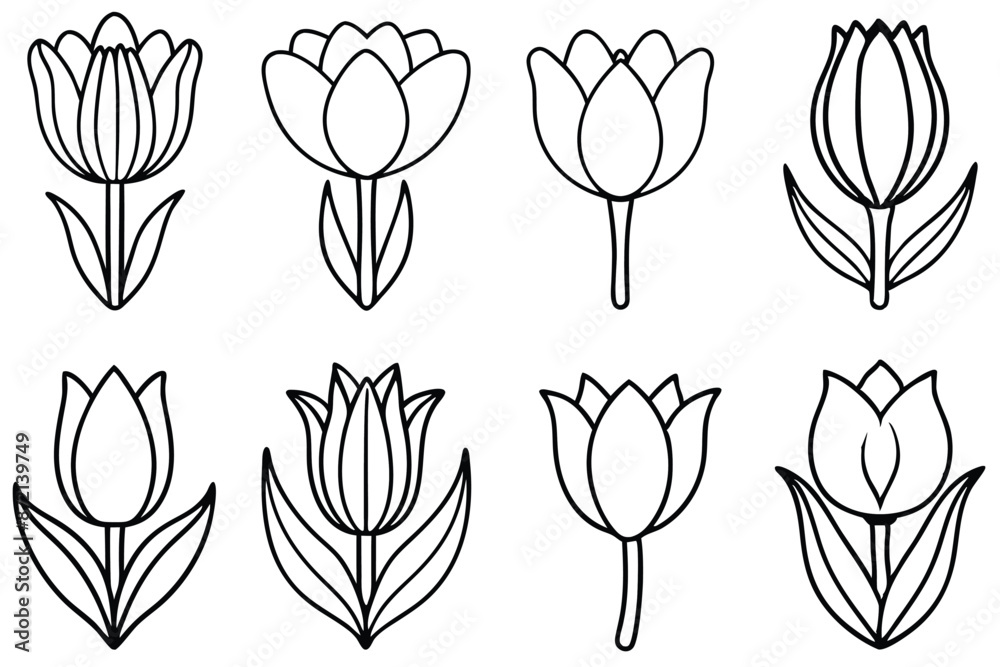 Tulip flower line art Fine-lined tulip illustrations capture essence Tulip flower line art Fine-lined tulip illustrations capture essence
