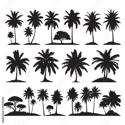 Set of palm tree silhouettes isolated on a white background, Vector illustration.