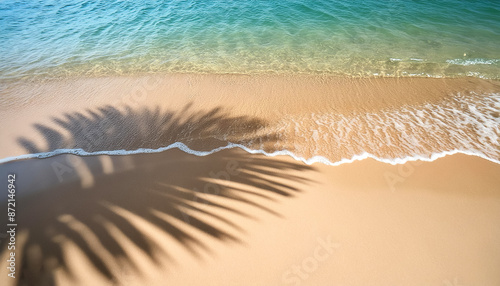 empty abstract sand beach with palm leaf shadow and transparent water wave from above, blank background banner for travel, vacation and wellbeing with copy space. top of views, aerial views