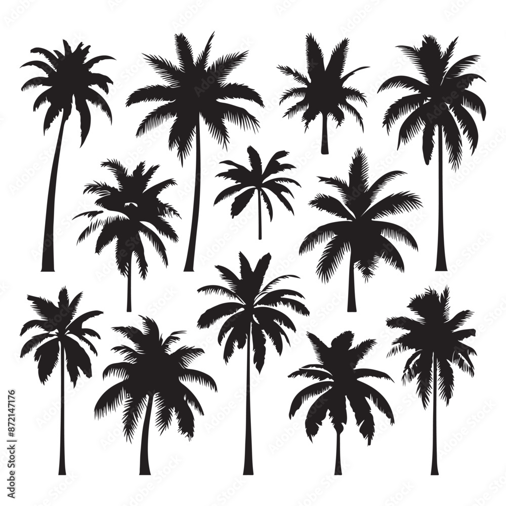 Set of palm tree silhouettes isolated on a white background, Vector illustration. Set of palm tree silhouettes isolated on a white background, Vector illustration.