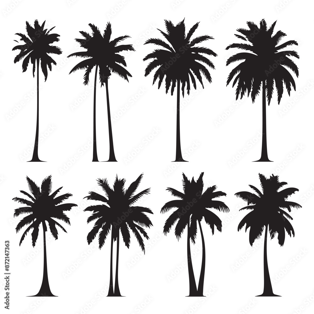 Set of palm tree silhouettes isolated on a white background, Vector illustration. Set of palm tree silhouettes isolated on a white background, Vector illustration.