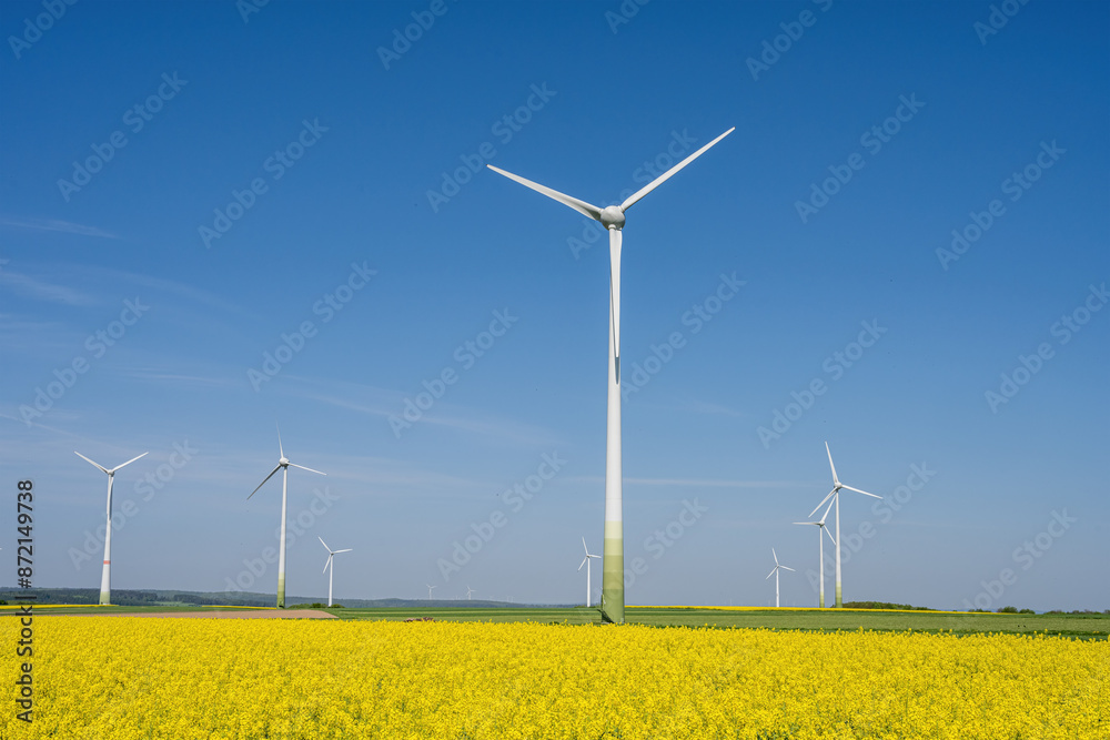 Wind turbines and a yellow canola field seen in Germany Wind turbines and a yellow canola field seen in Germany
