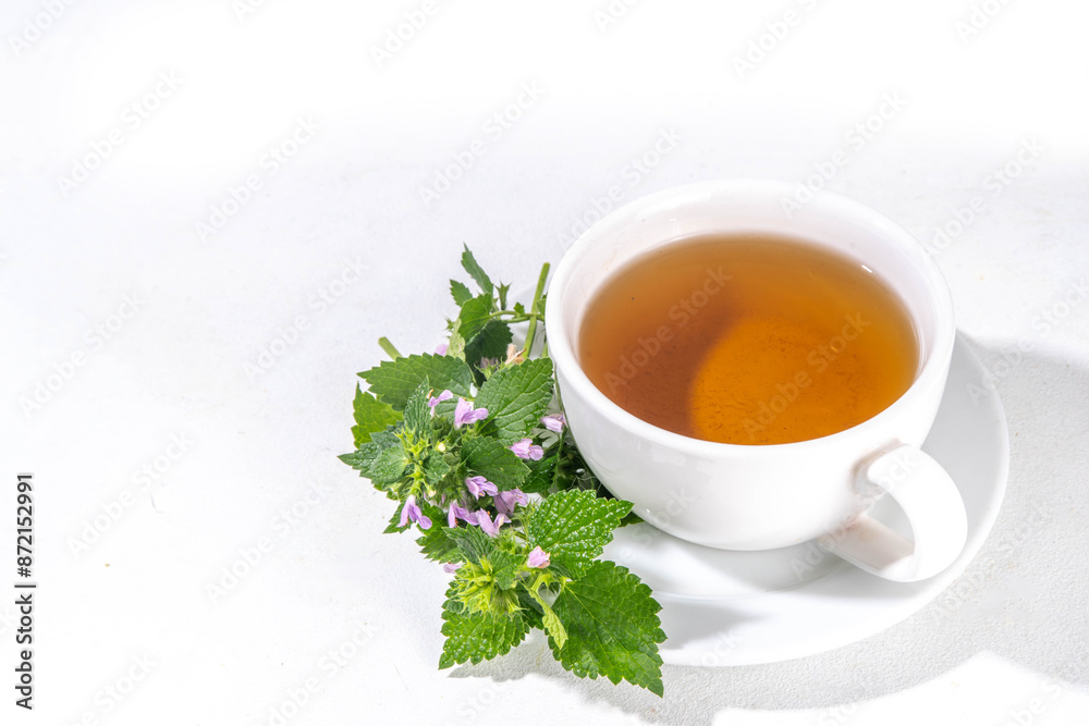 Deaf nettle herbal tea in white cup, with dead nettle sprig bunch and tea pot, copy space Deaf nettle herbal tea in white cup, with dead nettle sprig bunch and tea pot, copy space
