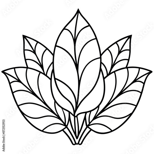 Large floral components in line art are featured in the coloring pages of the botanical mural design.