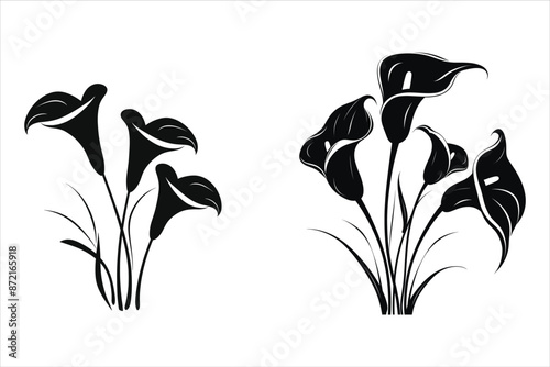 Calla Lilies Flowers Silhouette Bundle
